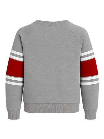 Свитшот с начесом для девочки