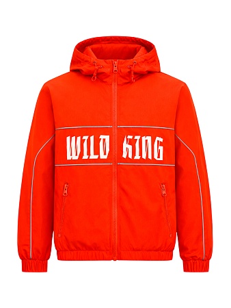 Ветровка для мальчика